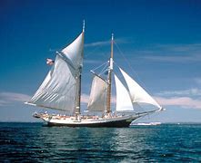 Nautica Voyage Musk